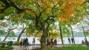 河内—友善城市、幸福城市