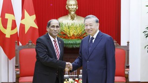 越共中央总书记苏林会见新加坡驻越南大使