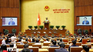 今（10）日，国会将表决通过30部法律草案和5份决议