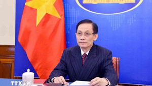 越老加强新框架合作