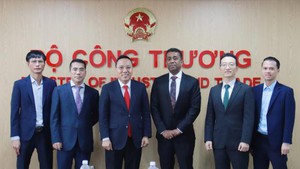 越南成为国际可再生能源机构成员