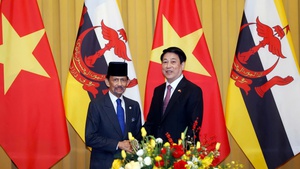 越南国家主席梁强同文莱文莱达鲁萨兰国苏丹哈吉&#183;哈桑纳尔举行会谈。