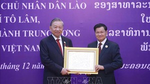 越共中央总书记苏林荣获老挝国家金质勋章