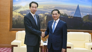 裴青山副总理会见中国驻越南大使何炜