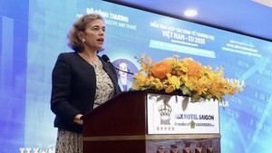 越南与西班牙面向可持续全面伙伴关系