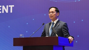 越南重视与外国非政府组织合作