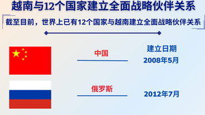 越南和世界上12个国家建立全面战略伙伴关系