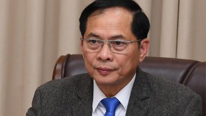越南政府副总理兼外交部长裴青山与韩国外交部长赵兑烈通电话