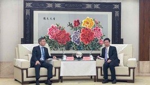 越南和重庆加强审计领域合作