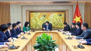 阮志勇副总理接见深圳大学中国经济特区研究中心代表团