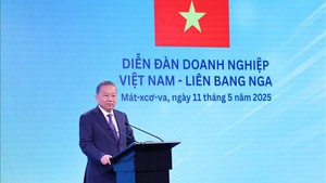 苏林总书记出席越南-俄罗斯企业论坛