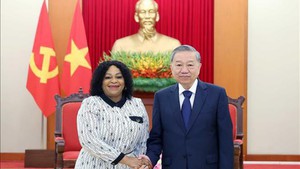 越共中央总书记苏林会见南非执政党非洲人国民大会第一副总书记