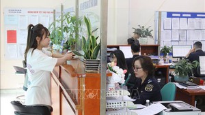 越南工贸部公布商品进出口新手续