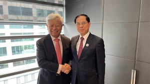 越南政府副总理兼外交部长裴青山会见亚洲基础设施投资银行行长金立群