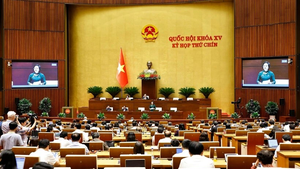 今（13）日，越南国会讨论关于修改补充宪法若干条款