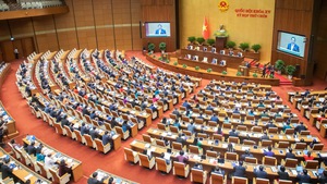 国会进行质询和答复质询活动