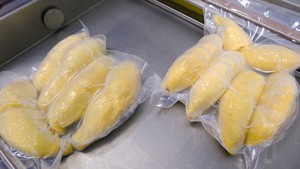 第一批越南冷冻榴莲输往中国