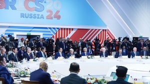 越南愿同金砖国家和国际社会应对挑战