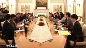 越南印度外交部副部长级政治磋商和战略对话在印度举行