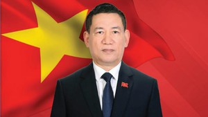 越南政府副总理胡德福出席第四次发展筹资问题国际会议并访问西班牙