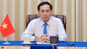 越南政府副总理兼外交部长裴青山与德国外交部长约翰&#183;瓦德富尔通电话