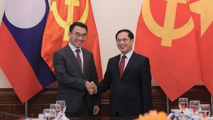 越南外交部和老挝革命党中央对外部深化合作