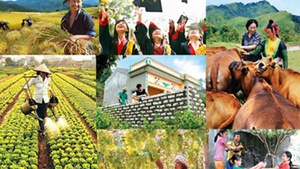 成立2021-2025年国家目标计划中央指导委员会