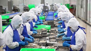 2025年前5月农林水产品出口金额增长15%