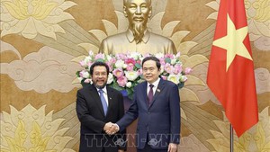 越南国会主席陈青敏会见印度尼西亚地方代表理事会副主席
