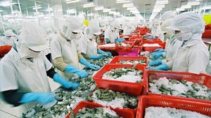 中国成为越南水产品最大出口市场