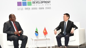 胡德福副总理会见坦桑尼亚副总统