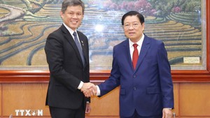 增进越南—新加坡两党、两国信任和密切关系