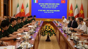 第五次越南意大利防务政策对话