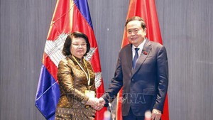 越南国会主席陈青敏会见柬埔寨国会主席昆索达莉