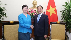 政府副总理兼外交部长裴青山会见柬埔寨驻越大使