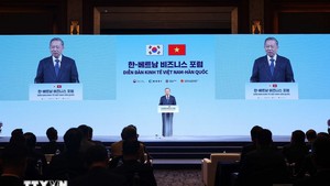 越共中央总书记苏林与韩国总理金民锡出席越南—韩国经济论坛