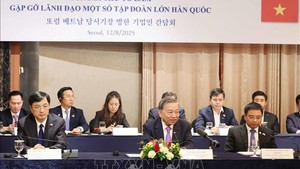 越南愿为韩国企业参加东南亚市场构建桥梁