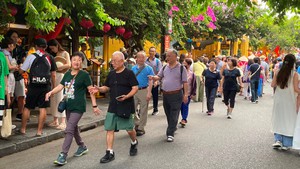 外交部发言人就越南免签新政策答记者问