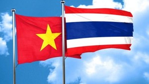 加强越南—泰国禁毒合作