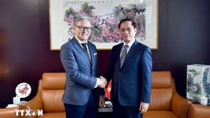 越南政府副总理兼外长裴青山会见老挝外交部长通沙万