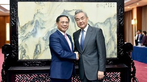 越南政府副总理兼外长裴青山会见中国外交部长王毅