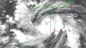 第5号台风“剑鱼”逼近 越南中部多地全面备战