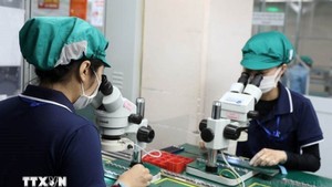 越南—埃及促进经济合作，拟签署双边自由贸易协定