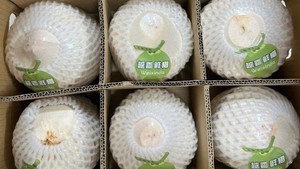越南近22吨香鲜椰通过北仑二号口岸正式输出中国
