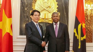 越南国家主席梁强同安哥拉总统洛伦索举行会谈