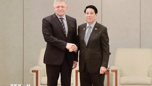 越南与斯洛伐克加强促进各领域合作