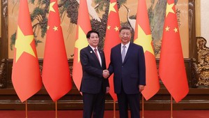 越南国家主席梁强会见中共中央总书记，中国国家主席习近平