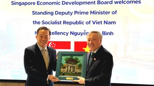 阮和平副总理与新加坡各机关、各家企业、投资者举行工作会议以促进金融中心领域合作