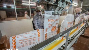 越南与印度双边贸易额创新高