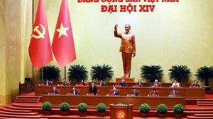 1月21日上午越共十四大在会场进行大会文件讨论会组图